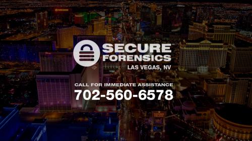 Image for Secure Forensics with ID of: 3132237