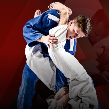 Image for Absolute Martial Arts with ID of: 3133918