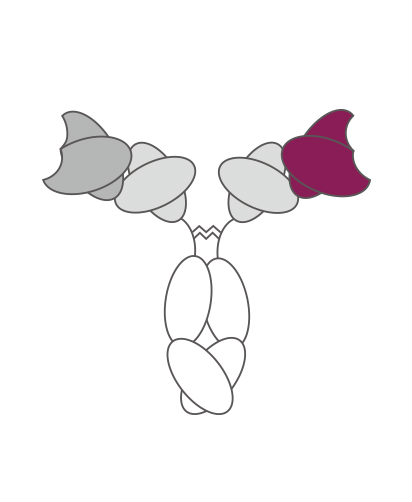 Image for TandAb with ID of: 3138643