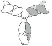 Image for Triomab with ID of: 3138681