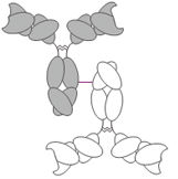 Image for LUZ-Y with ID of: 3138686