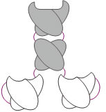 Image for mini body with ID of: 3138690