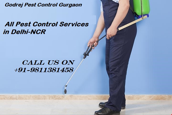 Image for Pest Control Gurgaon -100% Safe and Effective Service with ID of: 3138773