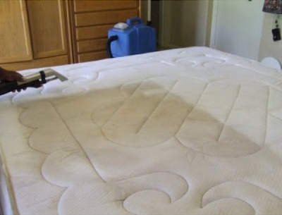 Image for Affordable Carpet Cleaning with ID of: 3139067