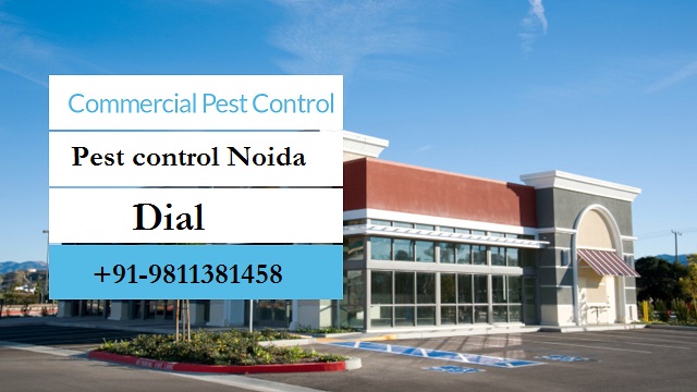 Image for Get 10% Discount on Pest Control Noida with ID of: 3139217