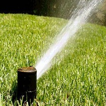 Image for Aqua Sprinklers with ID of: 3139564
