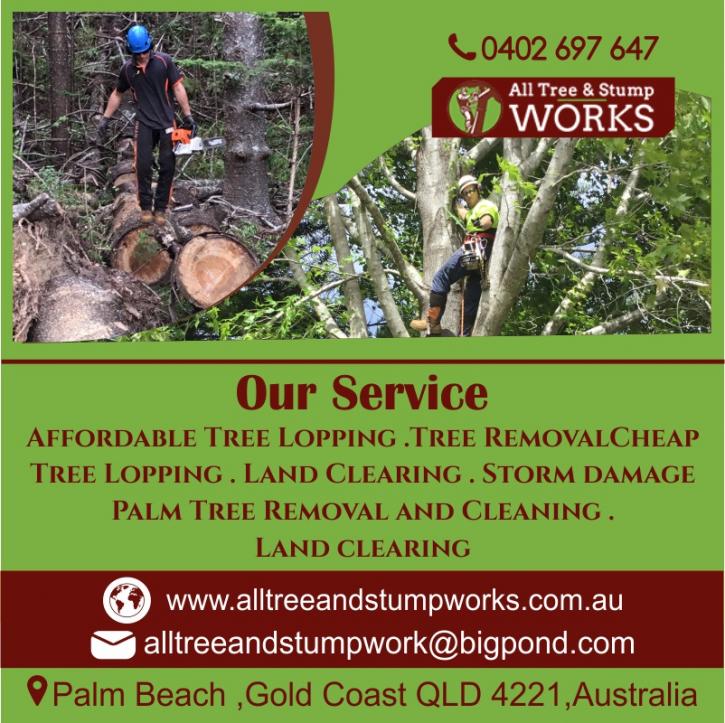 Image for All Tree And Stump Works with ID of: 3139672