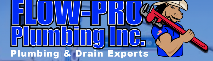 Image for Flow-Pro with ID of: 3141638