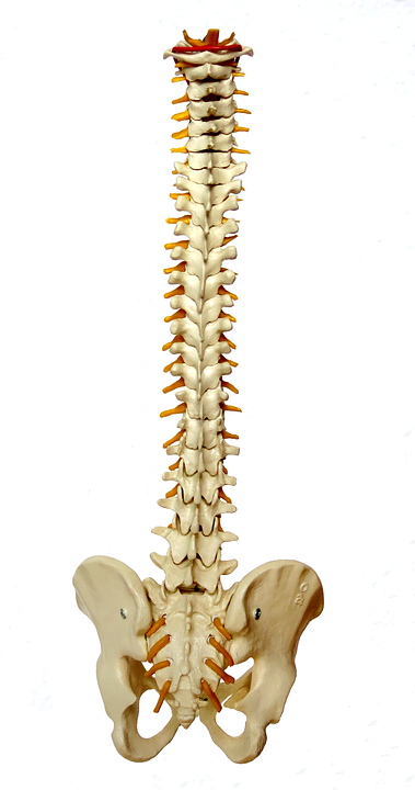 Image for Advanced Spine with ID of: 3141683