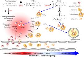 Image for What is C-reactive protein? with ID of: 3143213
