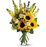 Image for Same Day Flower Delivery El Paso TX - Send Flowers with ID of: 3144317