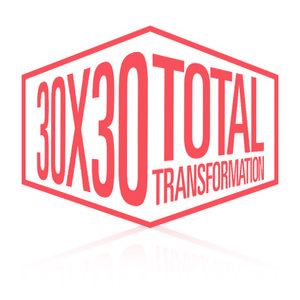 Image for 30x30 total transformation review with ID of: 3146638