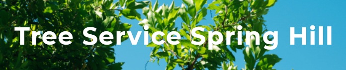 Image for Spring Hill Tree Specialists with ID of: 3146979
