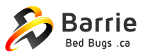 Image for Barrie Bed Bugs .ca with ID of: 3147018