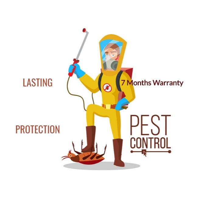 Image for Barrie Bed Bugs .ca with ID of: 3147023