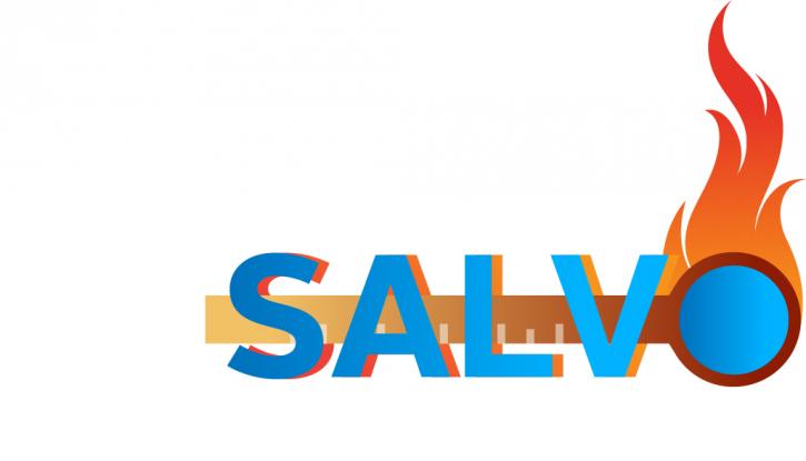 Image for Salvo Media with ID of: 3147033