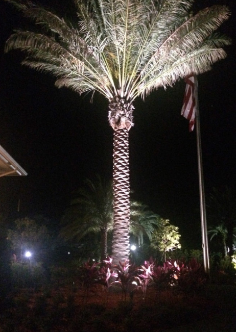 Image for State Lighting Co, Inc. with ID of: 3147759