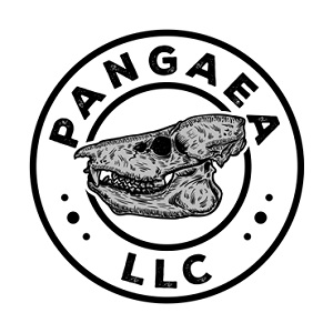 Image for Pangaea LLC with ID of: 3148947