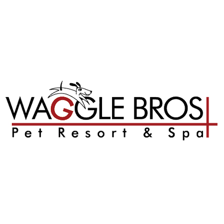 Image for Waggle Bros Pet Resort & Spa with ID of: 3150364