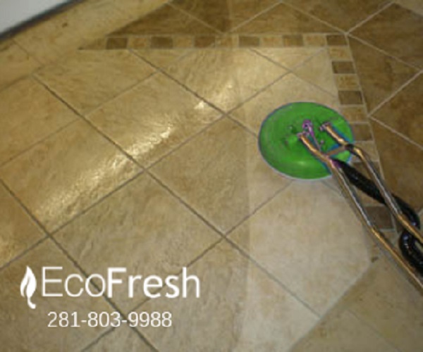 Image for EcoFresh Service LLC with ID of: 3151835