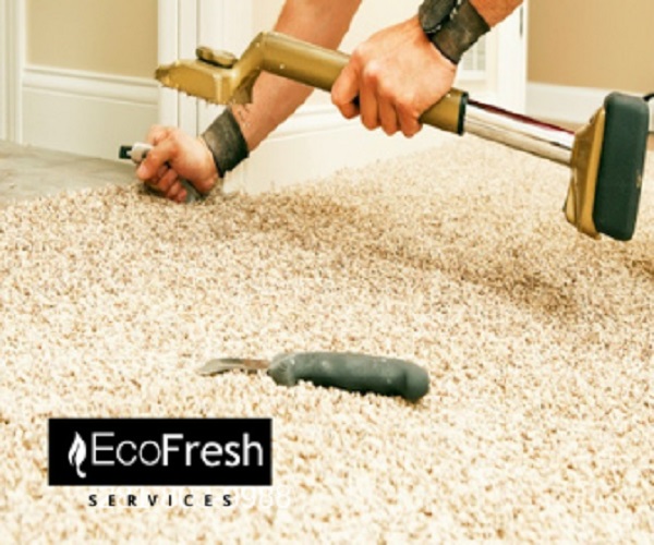 Image for EcoFresh Service LLC with ID of: 3151851