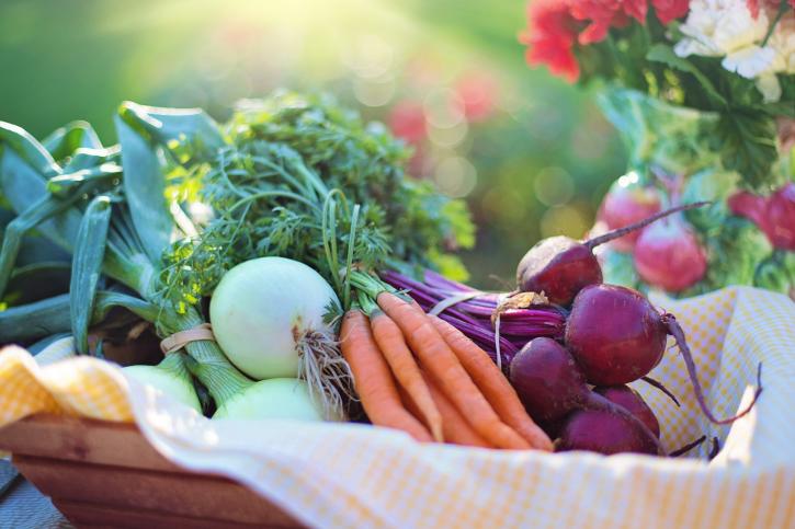 Image for Grounded Health with ID of: 3151853