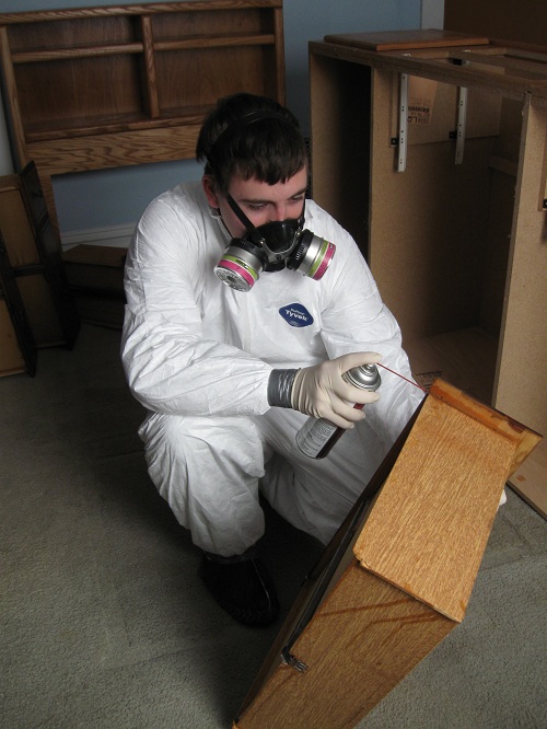 Image for Bed Bug Exterminator Cincinnati with ID of: 3152166