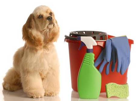 Image for Furry Friends House Cleaning with ID of: 3152375