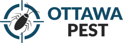 Image for Ottawa Pest Control with ID of: 3152393
