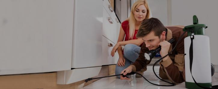 Image for Ottawa Pest Control with ID of: 3152400