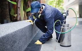 Image for Ottawa Pest Control with ID of: 3152402