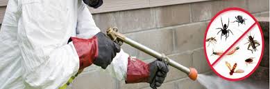 Image for Ottawa Pest Control with ID of: 3152403