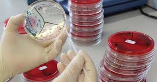 Image for Infectious Disease Diagnostics Market - Size, Share, Trends, and Forecast to 2026 with ID of: 3152665