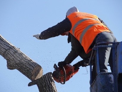 Image for Tree Service Of Mobile with ID of: 3153117