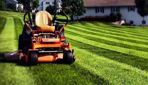 Image for Rochester Lawn Care with ID of: 3153665