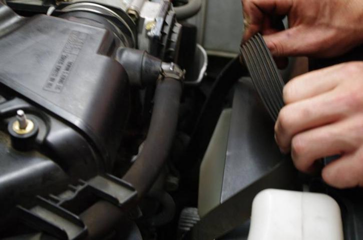 Image for Vehicle Timing Belts with ID of: 3159621