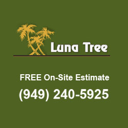 Image for Luna Tree Service with ID of: 3160035