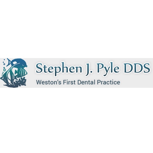 Image for Stephen J. Pyle DDS with ID of: 3161091