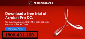 Image for Picture & Video Editor Software | Adobe Elements 2019 Bundle with ID of: 3161307