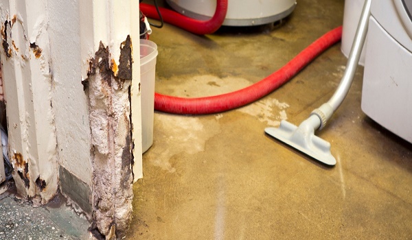 Image for Queens Propety Damage Restoration with ID of: 3161823