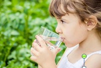 Image for Gaines Soft Water with ID of: 3164841