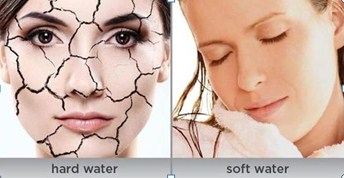 Image for Gaines Soft Water with ID of: 3164842