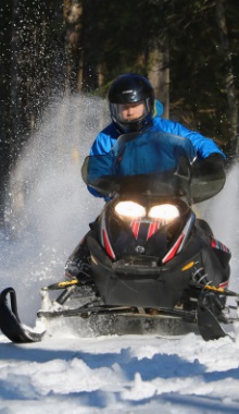 Image for Wildman Adventure Resort with ID of: 3167197