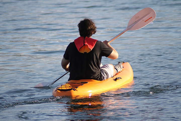 Image for Wildman Adventure Resort with ID of: 3167198