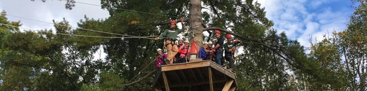 Image for Wildman Adventure Resort with ID of: 3167199