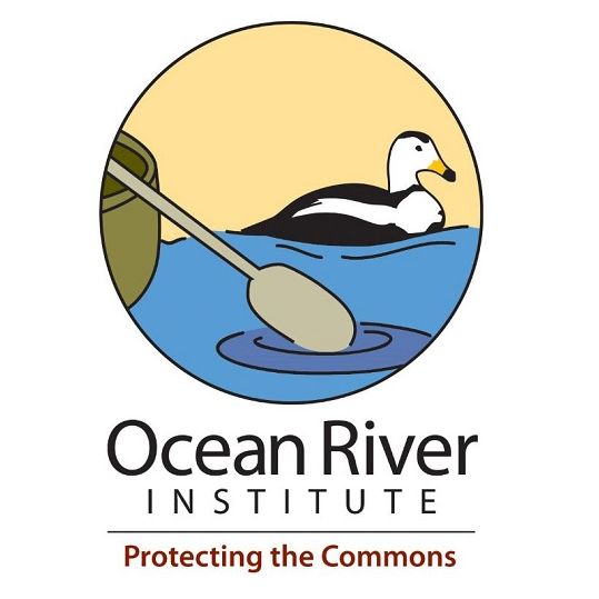 Image for Ocean River Institute with ID of: 3171401