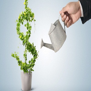 Image for Devkota Capital Advisors with ID of: 3171797