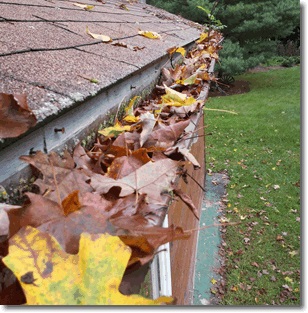 Image for Alpine Gutters & Downspouts with ID of: 3173349