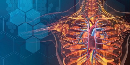 Image for Biosimulation Market - Size, Share, trends, and Forecast to 2026 with ID of: 3174823