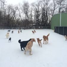 Image for The Second Pup & kitties too with ID of: 3174886